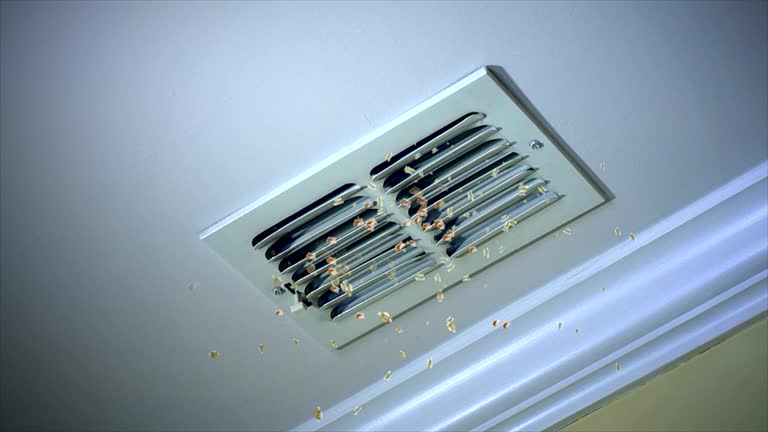 Best Duct Cleaning for Homes  in New City, NY